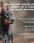 AmoPetric Pet Shampoo with Abies fabri Needle Light Essential Oil for Dogs with short hair and sensitive skin
