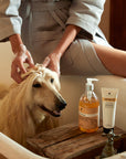 AmoPetric Pet Shampoo with Shea Butter Light Essential Oil for Long-Haired and Curly-Haired dogs