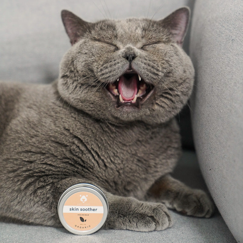 AmoPetric Squalene Skin Soother for pets